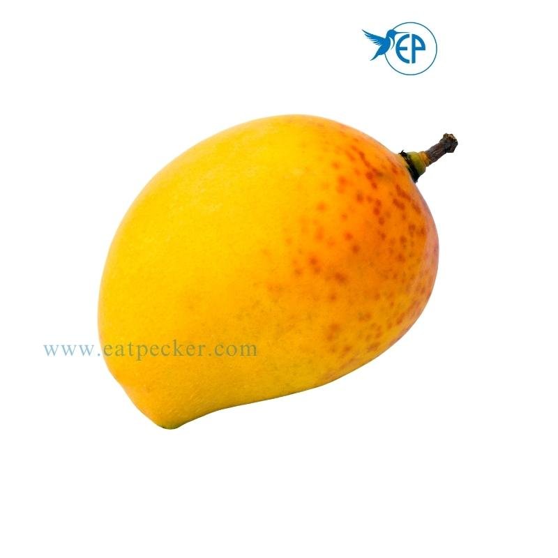 Alphonso Mango