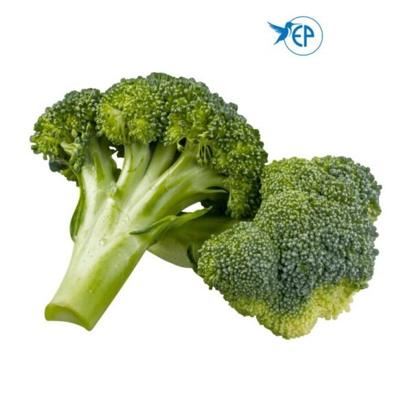 Fresh Broccoli