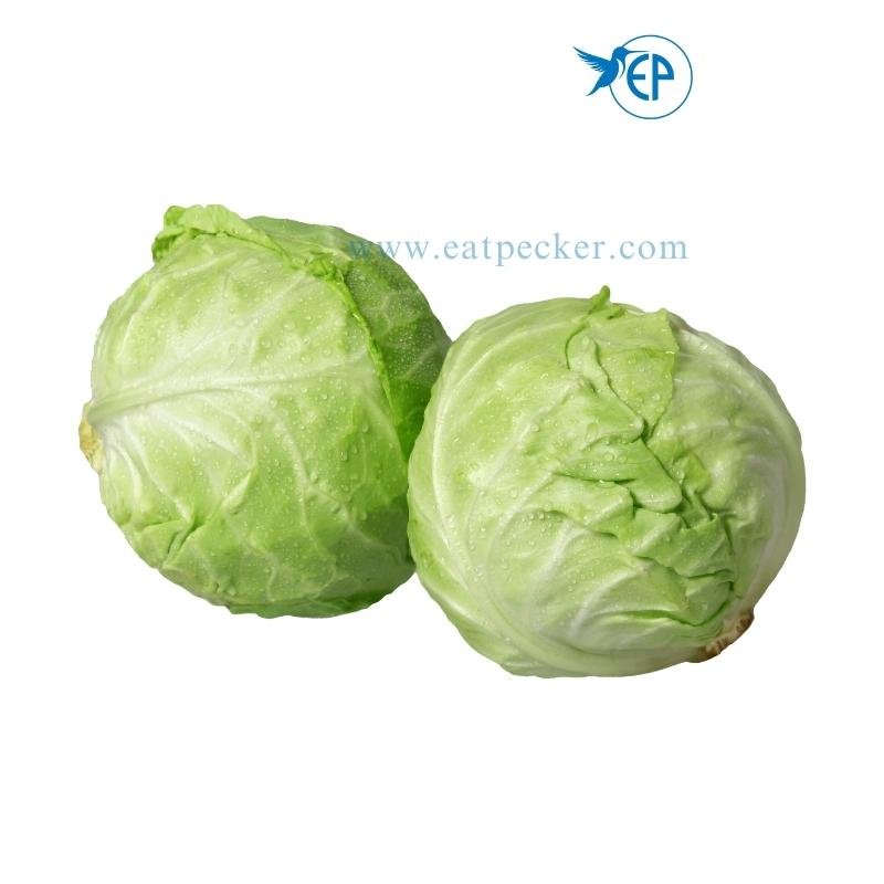 Green Cabbage