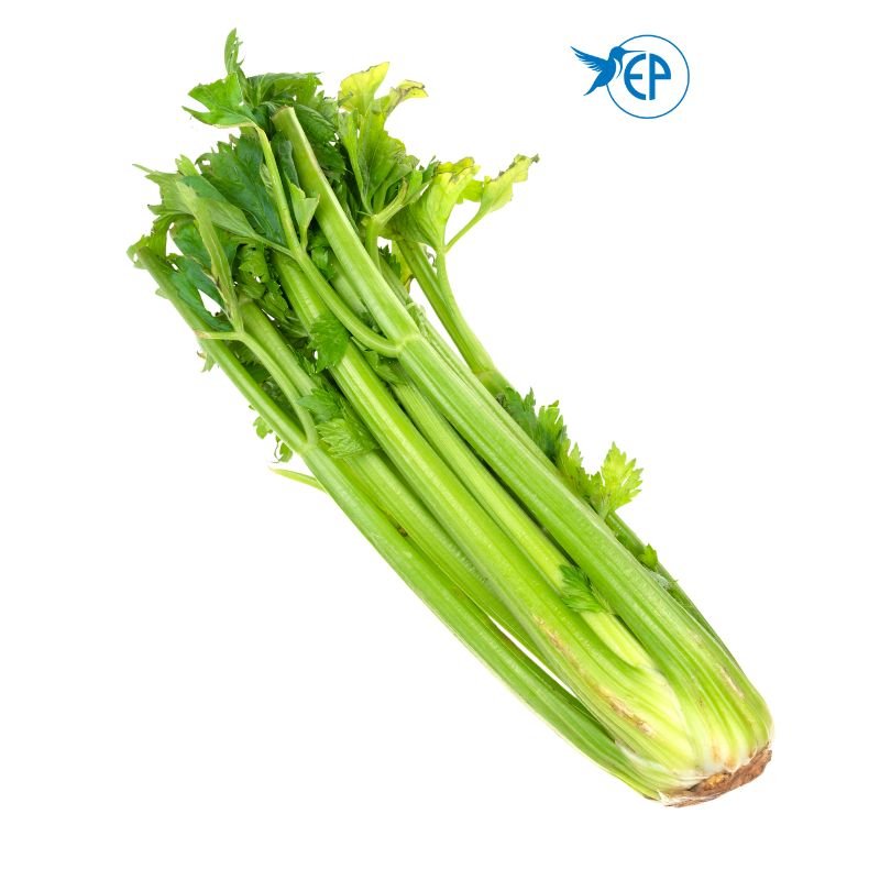 Celery Sticks