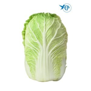 Napa Cabbage