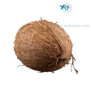 Medium Coconut