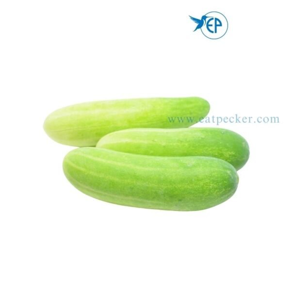 Fresh Cucumber