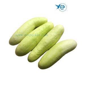 White Cucumber