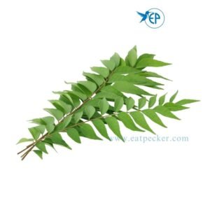 Curry Leaves