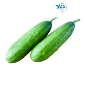 English Cucumber