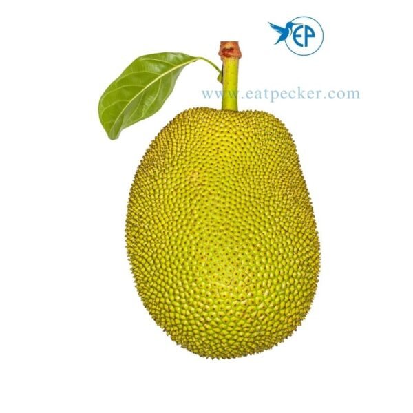 JackFruit