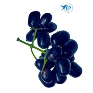 Dark purple jamun