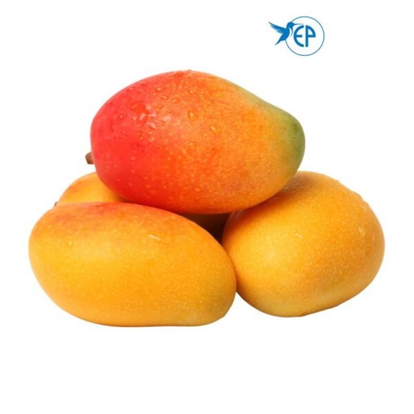 Sindhura Mango