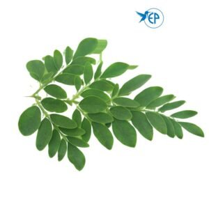 Moringa Leaves