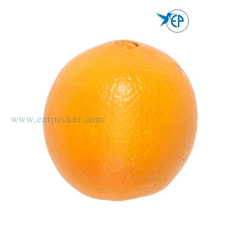 Kodagu Orange