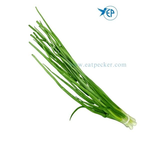 Fresh Scallions