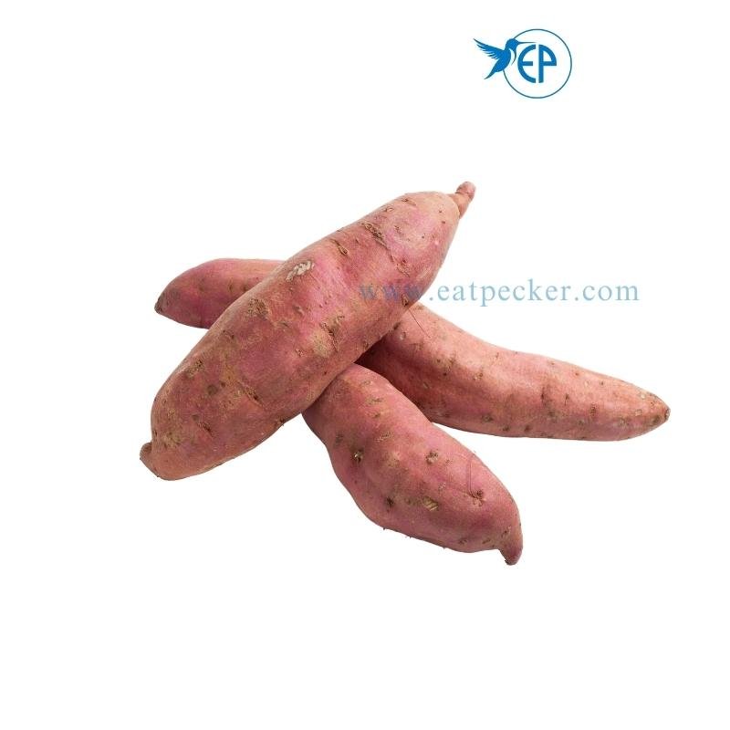 Sweet Potato