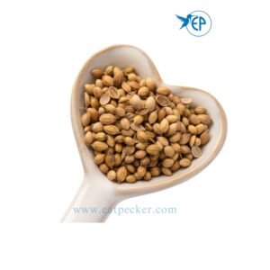 Coriander seeds