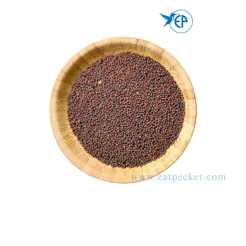 Buy Mustard Seeds Near Me Retail Bulk Order Eatpecker