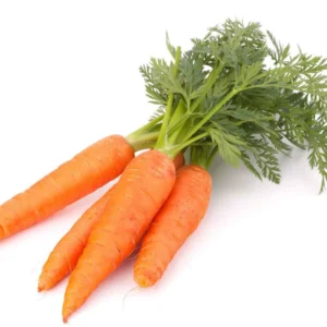 Carrot 1