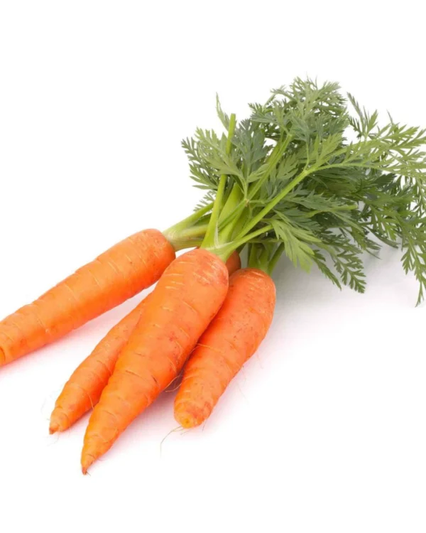 Carrot