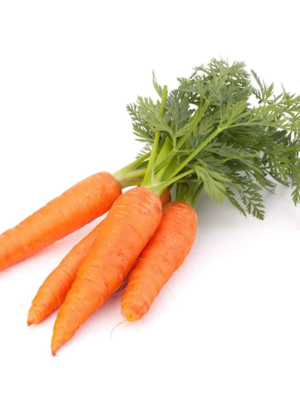 Carrot